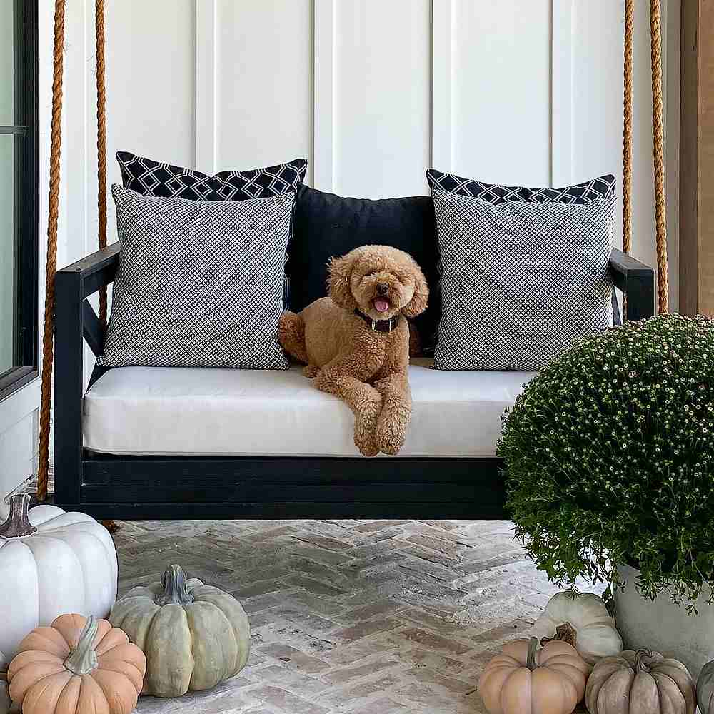 Sunbrella Curated Swing Bed Cushion Bundle - Triple C Farmhouse - Crib Size